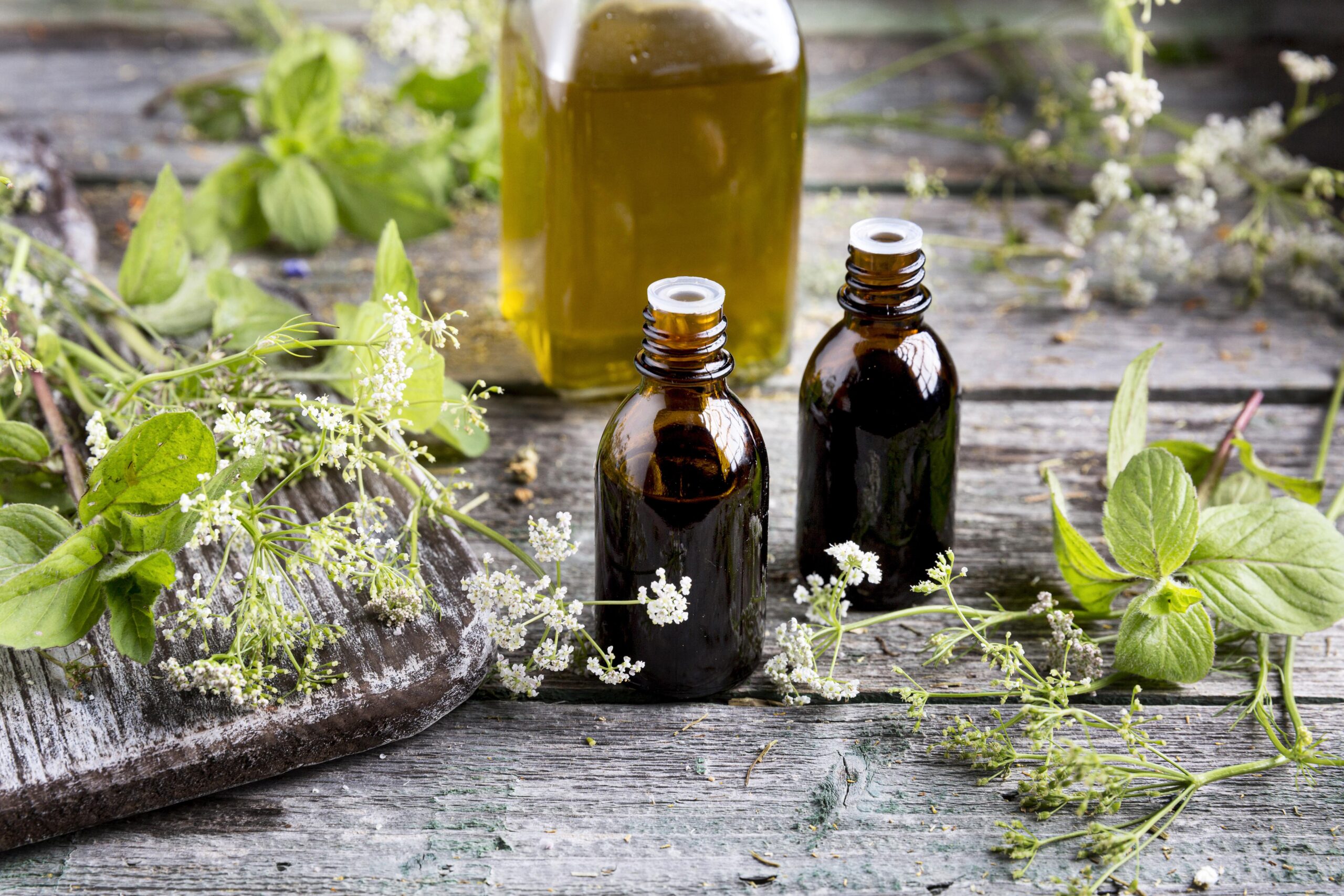 Botanical Extracts