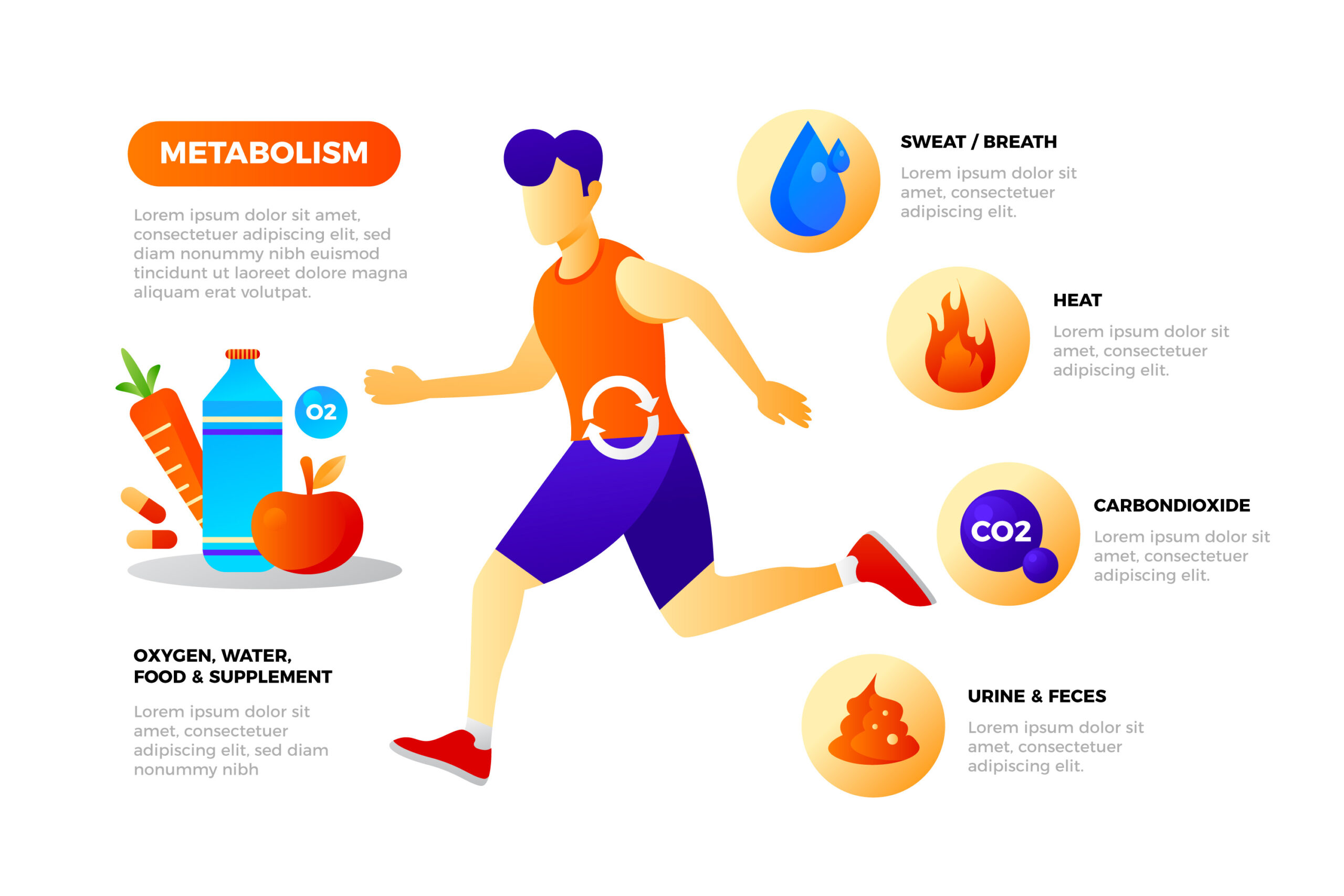 Metabolism Support